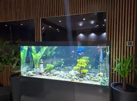 Villa Vip pokoje,śniadanie,Apartament kinowy
