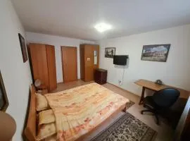 Timisoara