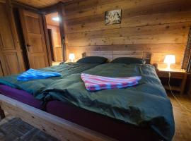 Gem&uuml;tliches Walliser Chalet Nahe Aletschgebiet, chal&eacute; alpino em Blitzingen