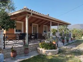Jenny's House