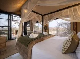 Sausage Tree Safari Camp