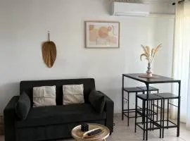 Appartement T2 climatisé