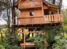 Tree house - Ethno holistic village Apače
