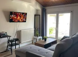 Cozy apartment T1
