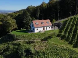 Weingartenhaus Eckberg41