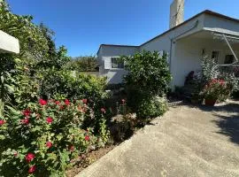 Canka Guest House