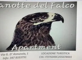 Lanotte del Falco