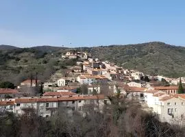 El Pi Del Rei