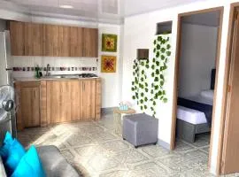 Apartamento central en Armenia