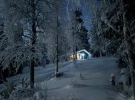 Erämökki Villa - Lumo