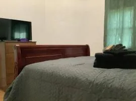 Spacious, Unique PR near Binghamton University