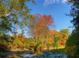 Fanciful, Comfy Private Room - Lourdes Hospital