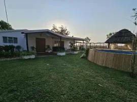 Lemón Phoenix