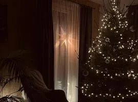 Brīvdienu māja & pirts meža vidū - Saraiķu Sanderi