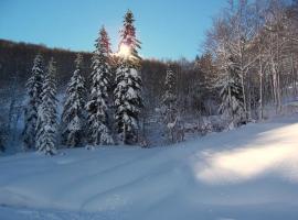 Mira Moleta bienvenidos a Canfranc, hotel a Canfranc-Estación