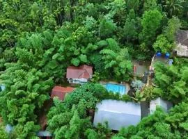Le Eden Premium Wayanad Pool Resort