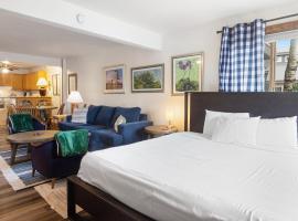 Ski-in Ski-out Studio Private Balcony & Fireplace condo, hotel in Crested Butte