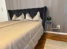 30 min from Munich & S-Bahn apartment with garden