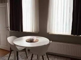 cosy studio