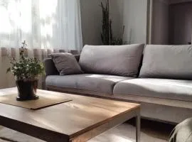 MIKO apartament