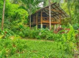 Wildlife Oasis Surf, Rainforest, Animals