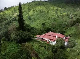 Sereniva Orange Grove Bungalow