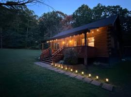 Log Cabin with Hot Tub, Game Room-10 min to NRG, βίλα σε Hico