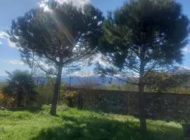 Villa Sigerico apartment