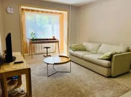 Spacious and Cozy 3BR Apartment, UB Downtown