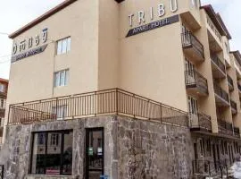 Tribu apart Hotel bakuriani