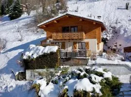 Aubier Confort Spa Chalet Domaine du Fraizier