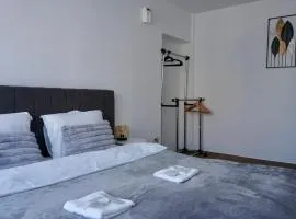 Chic and sunny downtown apartment