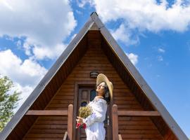 Casa Șoimului - A-Frame, lodge kohteessa Caransebeş