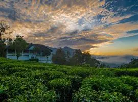 Tea Harvester