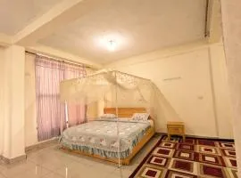 Fido's Guesthouse