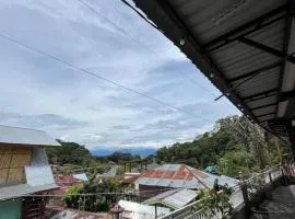 Orangutan Inn - Trekking & Transport Only Book With Us