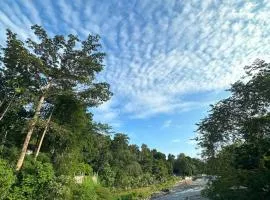 Orangutan Inn - Trekking & Transport Only Book With Us