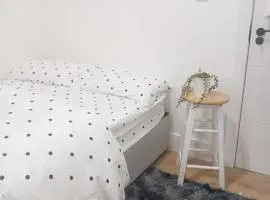 Attractive 3 bed house in London Harrow