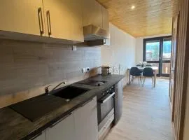 Appartement centre des Carroz