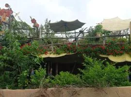 the rustic ecoscape