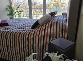 Providencia Encantador y elegante departamento，位于圣地亚哥的酒店