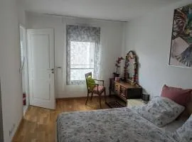 Beautiful flat around Geneva & its airport Palexpo