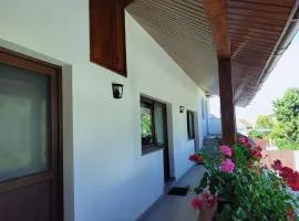 Casa Opal