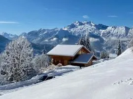 Chalet "Lucyvon" exceptional view