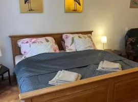 Štěpánská noc 1