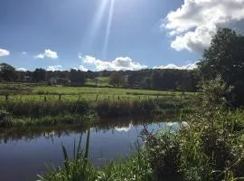 Serenity- Uk38551