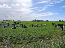 Buorkerijhûske A - Tussen Wad en Weide
