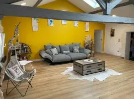 Loft Lumineux, Échappez à l'ordinaire Nancy