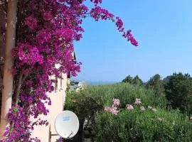 Stella Marina, Porto Rotondo
