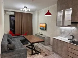 Cozy Akay City entire appartment in Tashkent CBD area